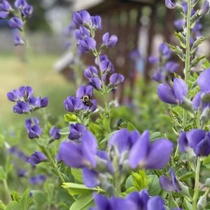 Meet your Posher, Anne